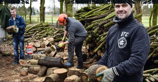 personen snoeien bomen