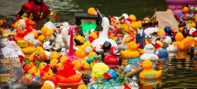 badeenden in het water tijdens de Duckrace 2019 in Maastricht