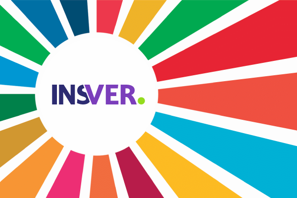 logo insver