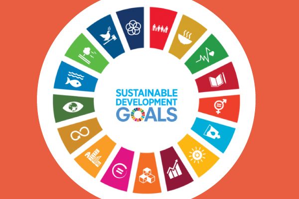 SDG's nh1816