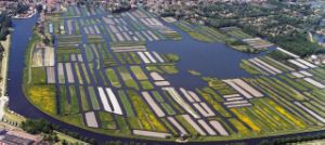 luchtfoto van het Oosterdel in Gemeente Langedijk