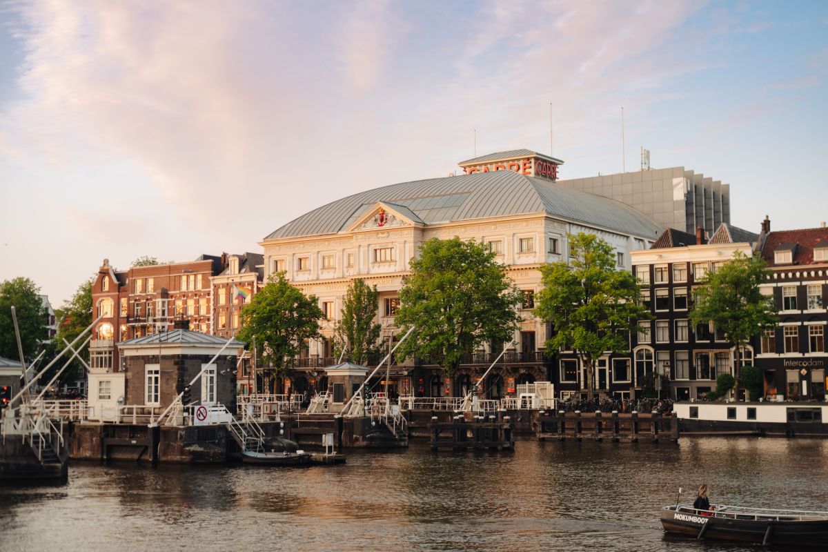 Jaguars - Ronald van Weeren