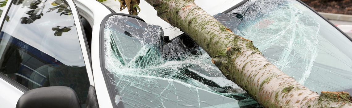 Storm preventietips