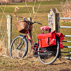 geparkeerde fiets tegen een hekje naast een weiland