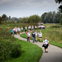 loopgroep-tijdens-zaan-de-wandel-loop