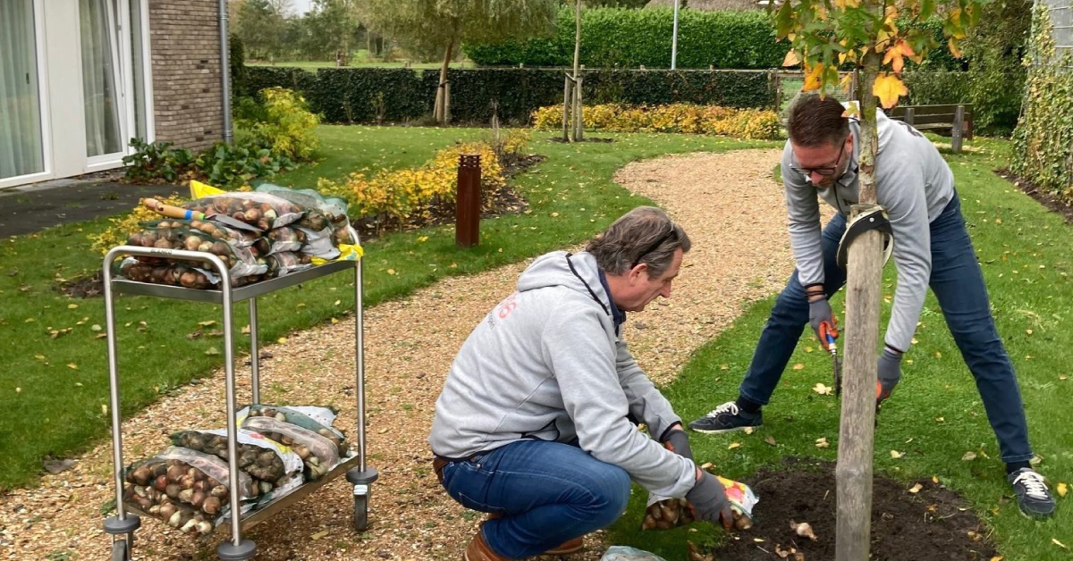 mannen planten boom